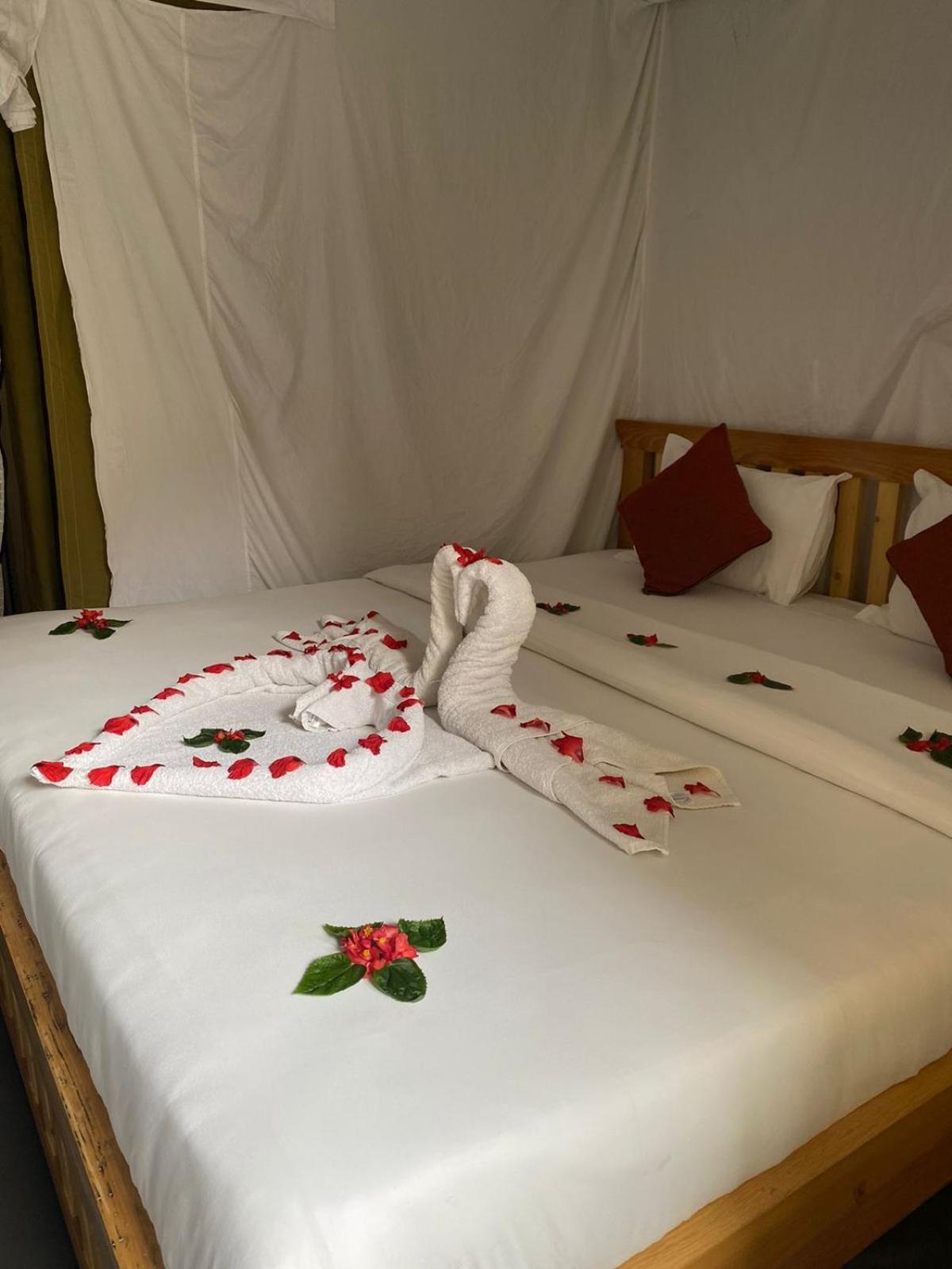 Kalash Parkaze And Tent Inn Pokhara Exteriör bild