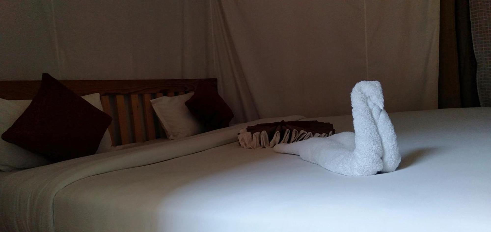 Kalash Parkaze And Tent Inn Pokhara Rum bild
